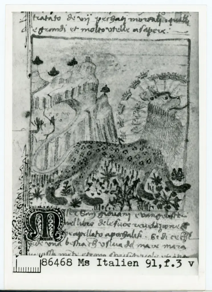 Anonimo sec. XIV , Animale