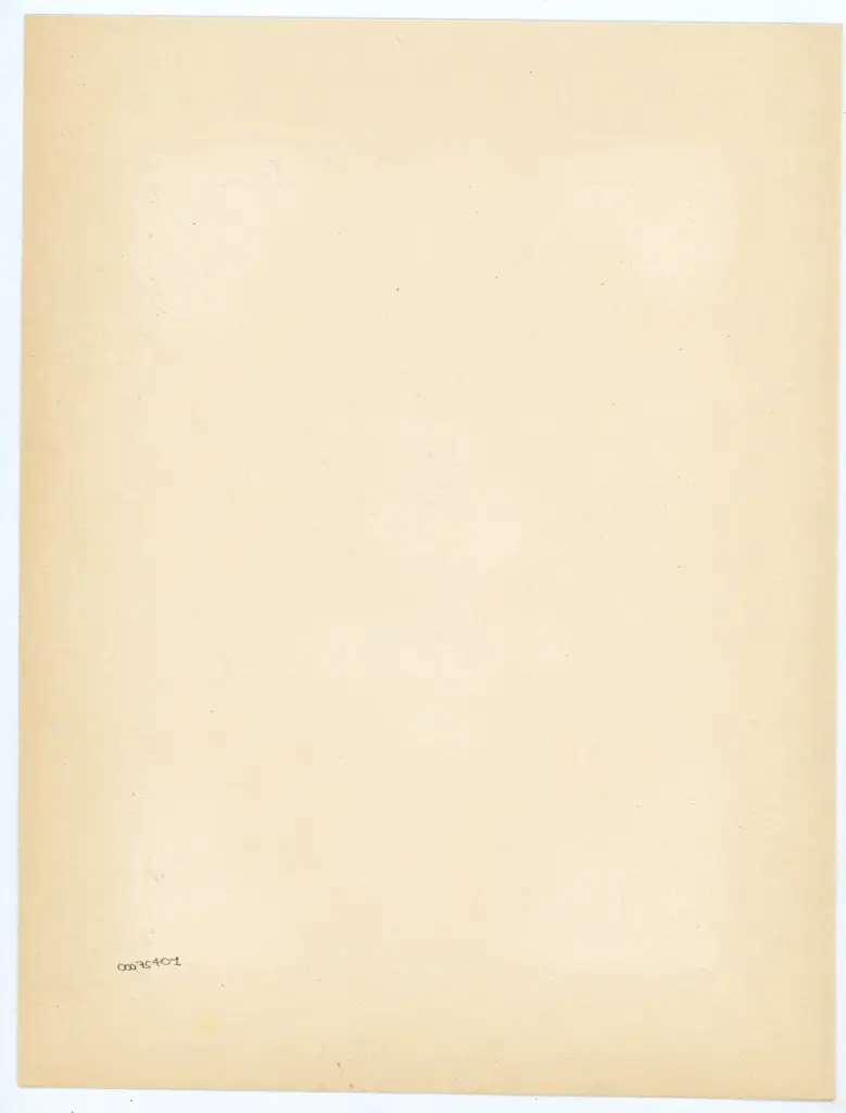 Anonimo , Gherardo di Giovanni, Monte di Giovanni del Fora, bottega - sec. XV, ultimo quarto - Firenze, Biblioteca Medicea Laurenziana, ms. Edili 109 , retro