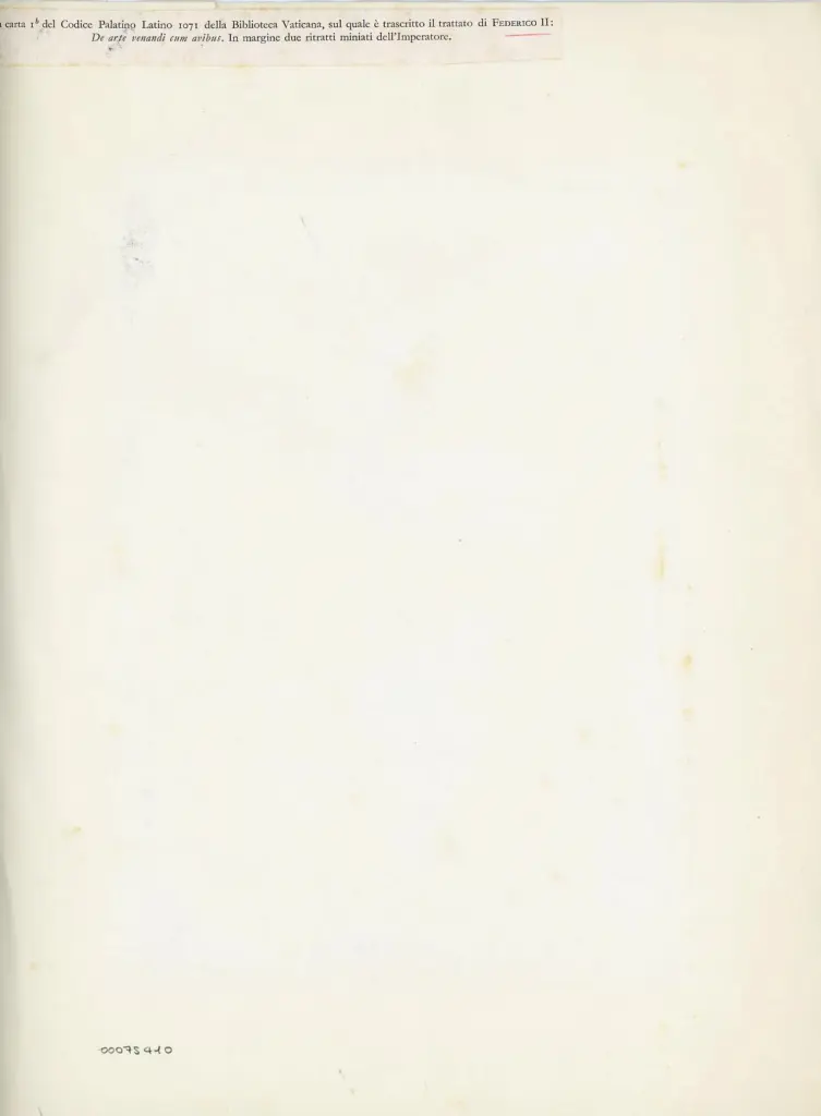 Anonimo , La carta 1b del Codice Palatino Latino 1071 della Biblioteca Vaticana, sul quale &egrave; trascritto il trattato di Federico II: De arte venendi cum avibus. In margine due ritratti miniati dell'Imperatore. , retro