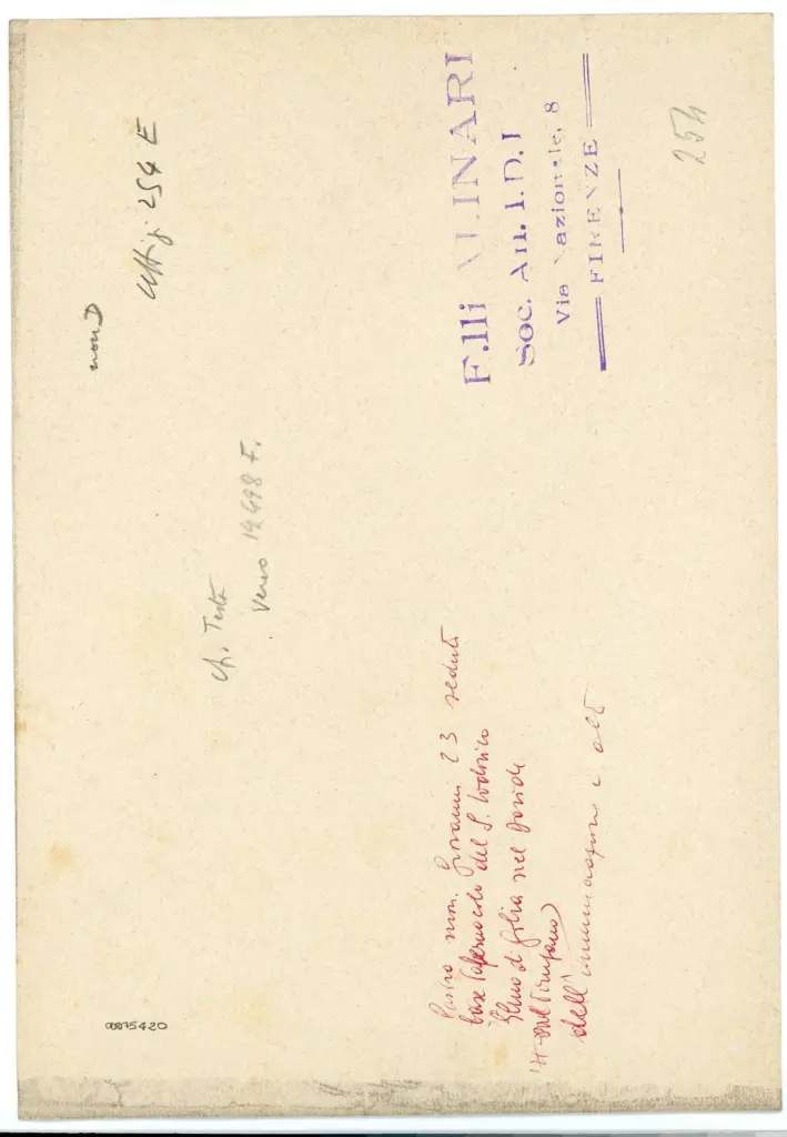 Alinari, Fratelli , Uffizi 254 E , retro