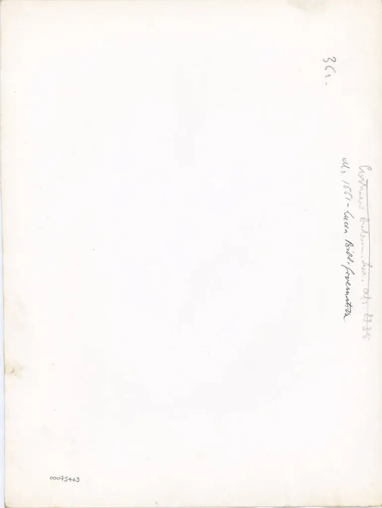 Anonimo , Ms. 1661 - Lucca Bibl Governativa - 36r. , retro