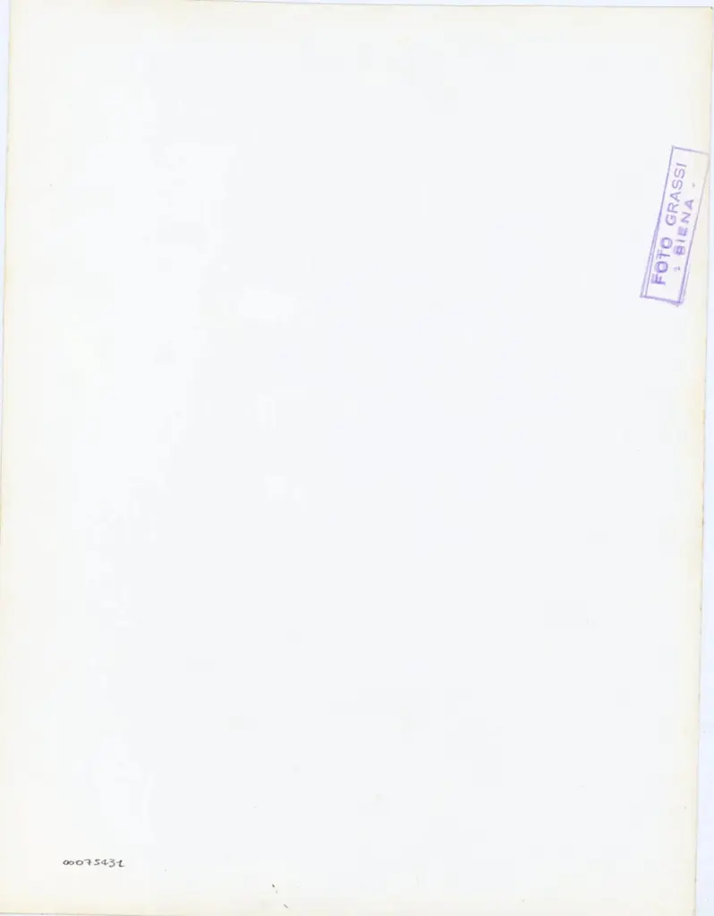 Foto Grassi , Anonimo - sec. XIII, met&agrave; - Pisa, Museo dell'Opera del Duomo, Exultet 3, particolare , retro