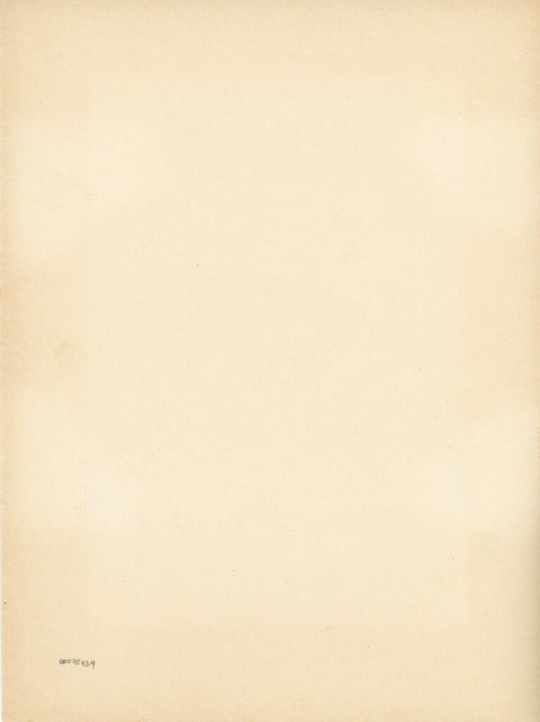 Anonimo , Francesco Rosselli - 1485 - Firenze, Biblioteca Medicea Laurenziana, ms. Ashburnham 1874, Libro d'Ore di Lorenzo de' Medici , retro