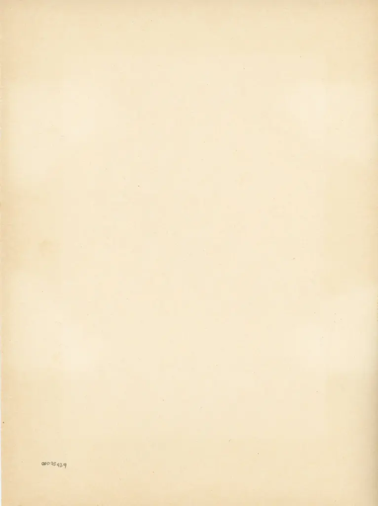 Anonimo , Francesco Rosselli - 1485 - Firenze, Biblioteca Medicea Laurenziana, ms. Ashburnham 1874, Libro d'Ore di Lorenzo de' Medici , retro