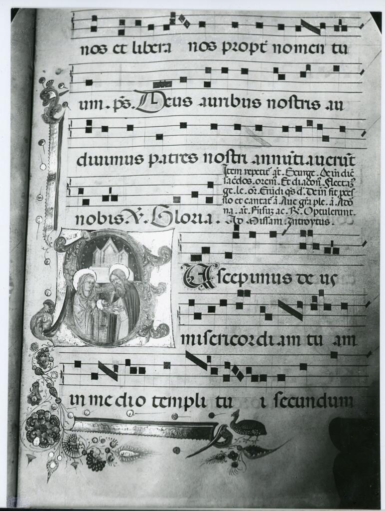 Soprintendenza ai Monumenti, alle Gallerie e alle Antichità di Trieste , Capodistria, ex-chiesa di S. Anna - Graduale proprium et commune, c. 4 , fronte