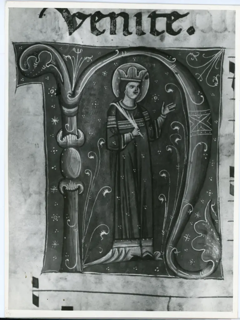 Anonimo , Ms. 2654 - 426v. - Lucca B.G. , fronte