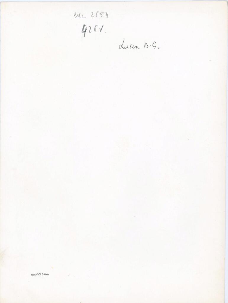 Anonimo , Ms. 2654 - 426v. - Lucca B.G. , retro