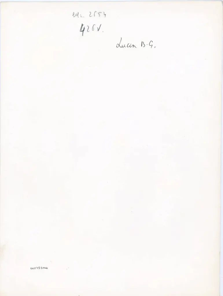 Anonimo , Ms. 2654 - 426v. - Lucca B.G. , retro