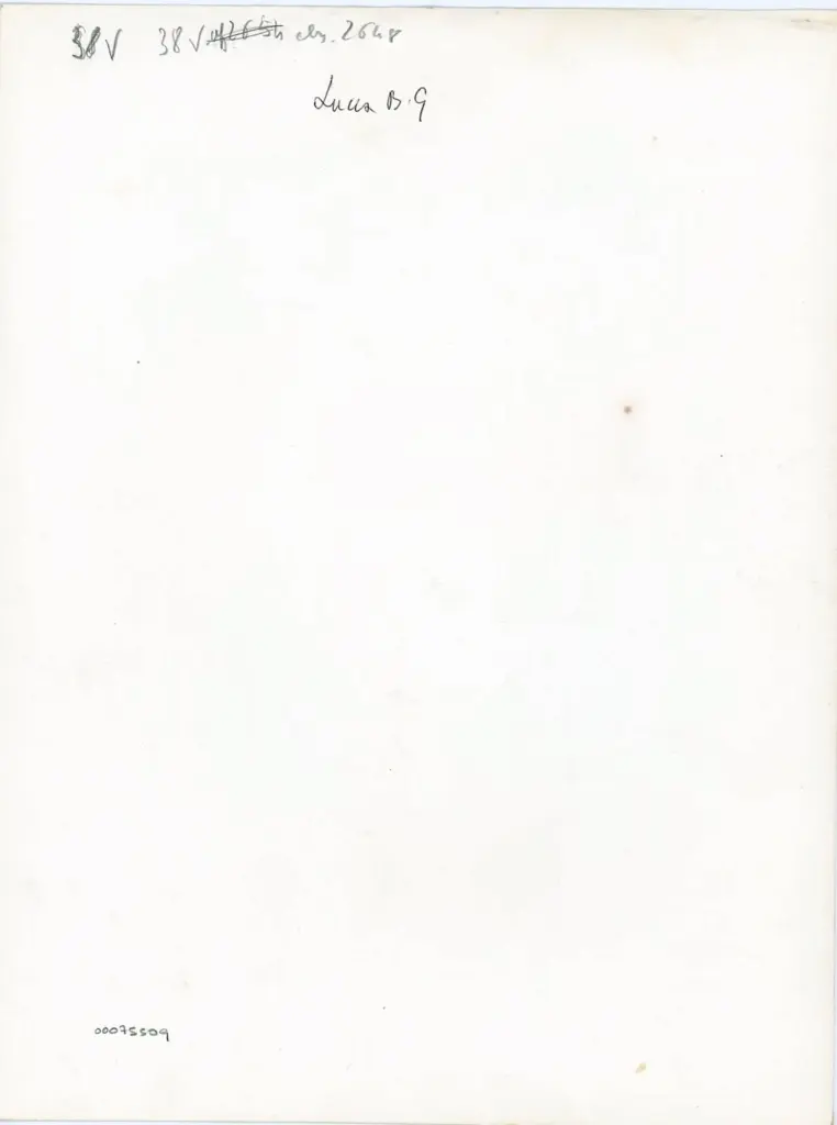 Anonimo , 38v Ms. 2648 - Lucca B.G. , retro