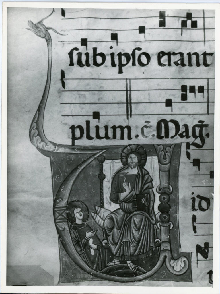 Anonimo , Ms. 2648 - p. 264 - Lucca B.G. , fronte