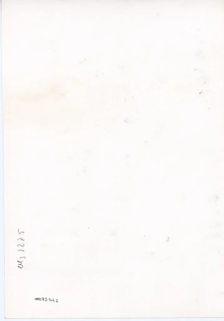 Anonimo , Anonimo - sec. XI - Lucca, Biblioteca Statale, ms. 1275, f. 9r, particolare , retro