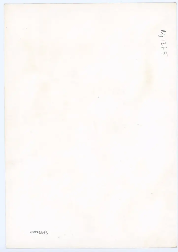 Anonimo , Anonimo - sec. XI - Lucca, Biblioteca Statale, ms. 1275, f. 12r, particolare , retro