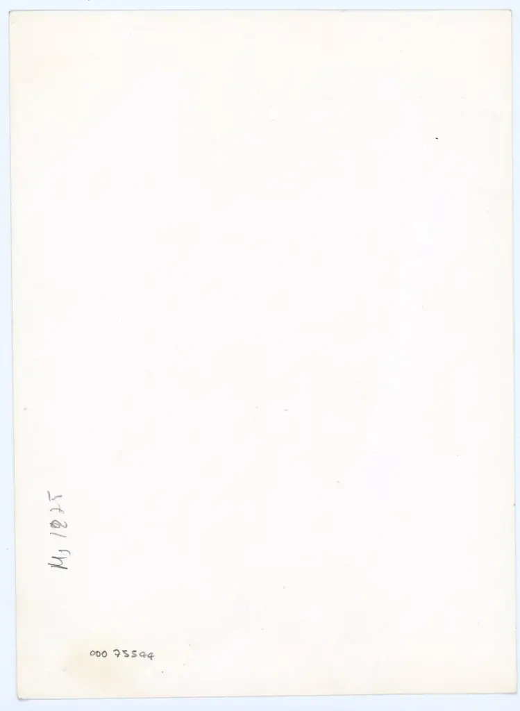 Anonimo , Anonimo - sec. XI - Lucca, Biblioteca Statale, ms. 1275, f. 13v, particolare , retro