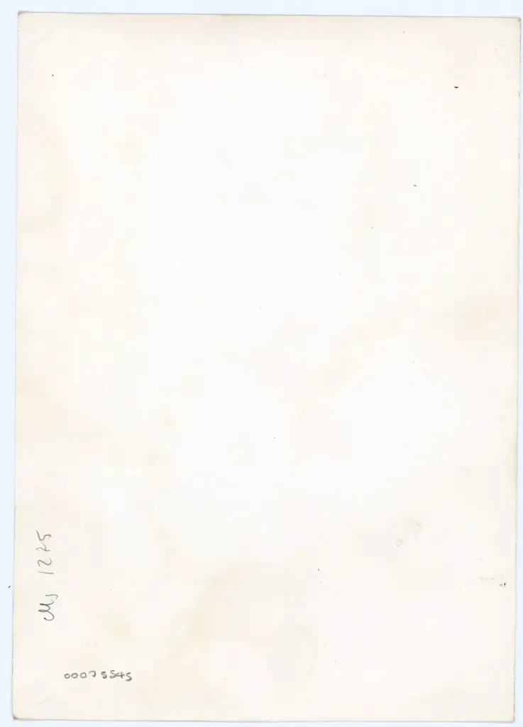 Anonimo , Anonimo - sec. XI - Lucca, Biblioteca Statale, ms. 1275, f. 18r, particolare , retro