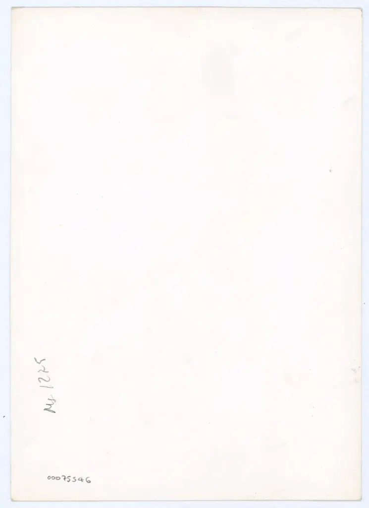 Anonimo , Anonimo - sec. XI - Lucca, Biblioteca Statale, ms. 1275, particolare di un foglio , retro