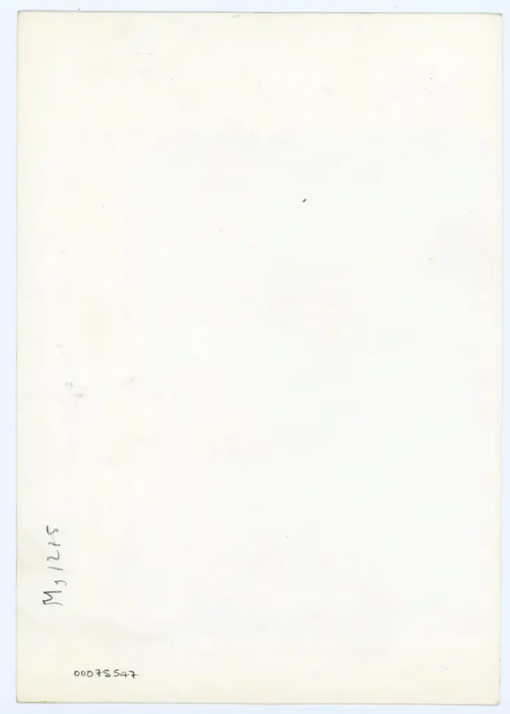 Anonimo , Anonimo sec. XI - sec. XI - Entrata di Cristo in Gerusalemme , retro