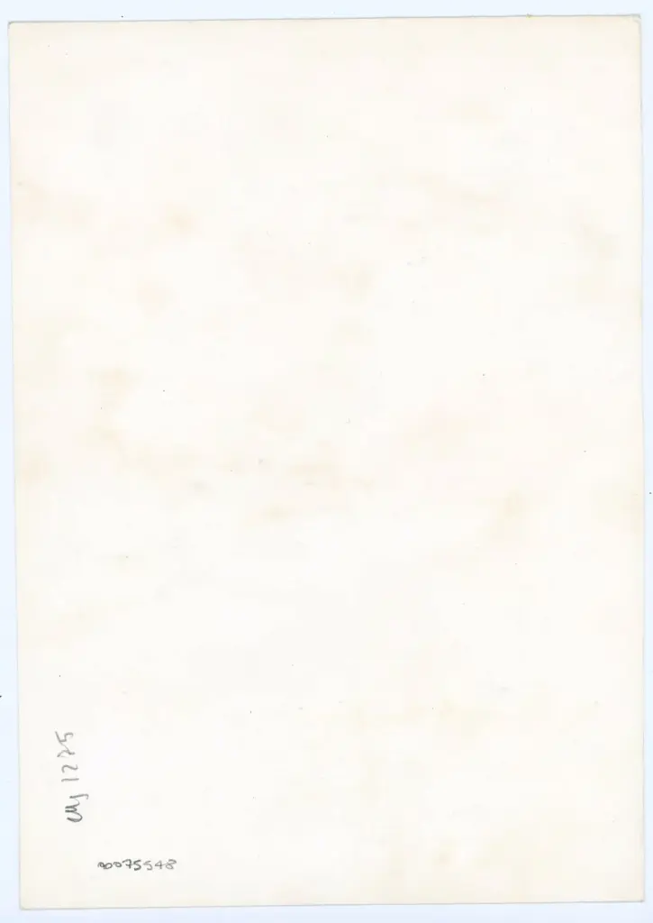 Anonimo , Anonimo - sec. XI - Lucca, Biblioteca Statale, ms. 1275, f. 21v, particolare , retro