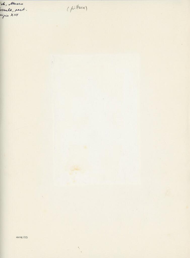 Anonimo , Vich, Museo - Dossale, part. - inizio XIII , retro