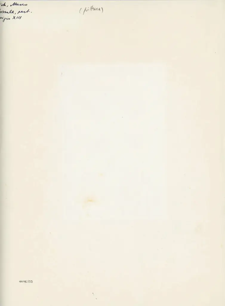 Anonimo , Vich, Museo - Dossale, part. - inizio XIII , retro