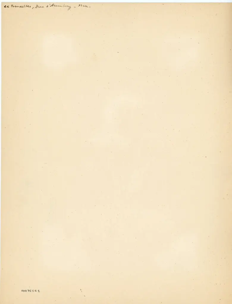 Anonimo , Anonimo sec. XI - sec. XI - , retro