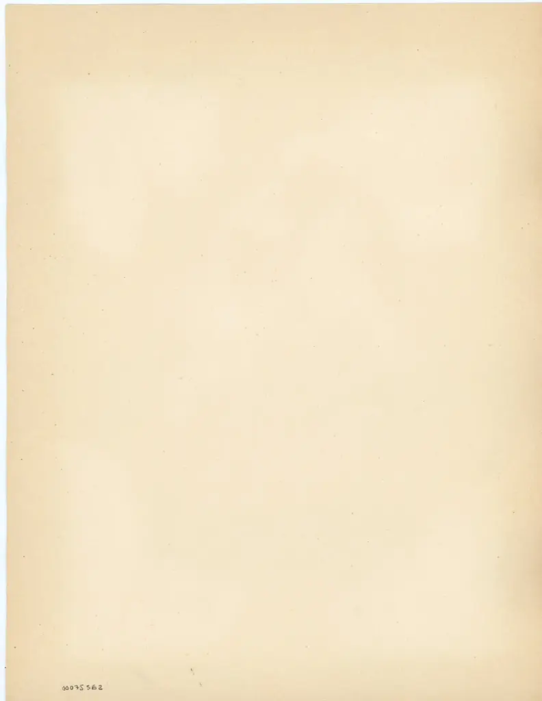 Anonimo , - - Finte architetture; San Giovanni Evangelista e l'aquila , retro