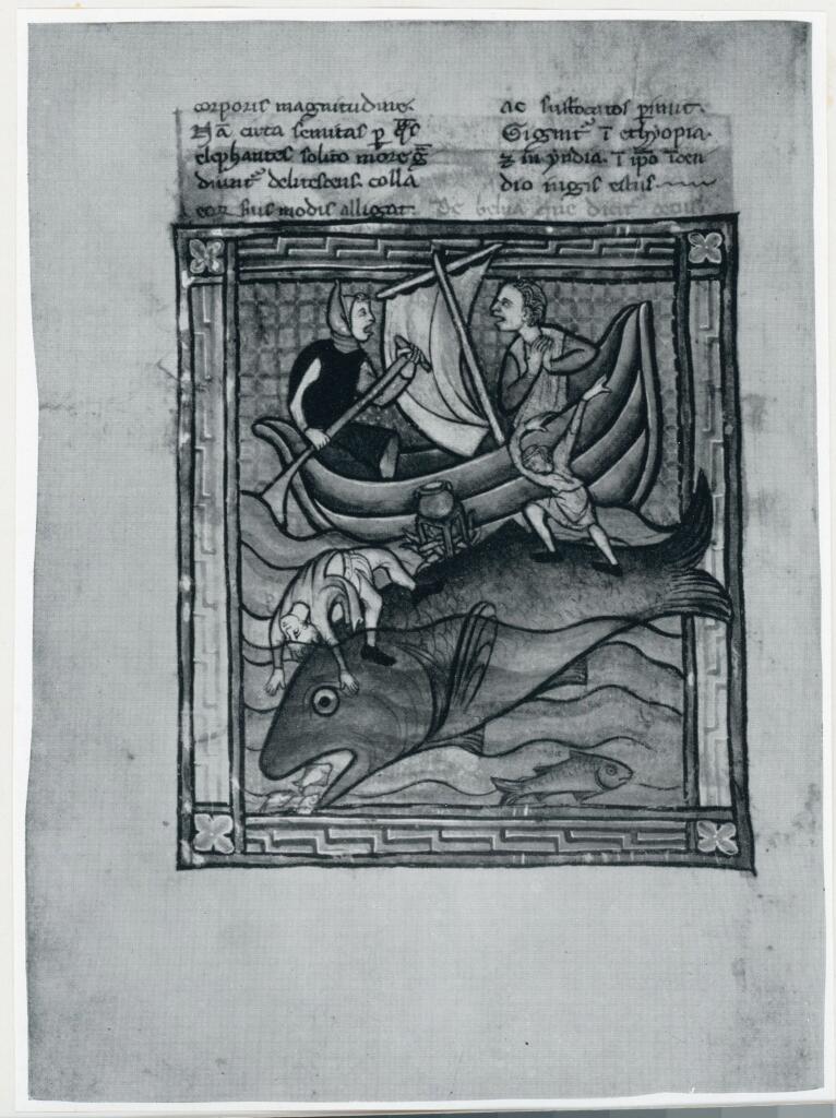 Anonimo , Anonimo - ca. 1290 - Los Angeles, J. Paul Getty Museum, Ms. Ludwig XV 3 (83.MR.173), Bestiario, f. 89v , fronte