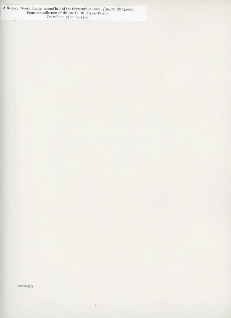 Anonimo , Anonimo - ca. 1290 - Los Angeles, J. Paul Getty Museum, Ms. Ludwig XV 3 (83.MR.173), Bestiario, f. 89v , retro