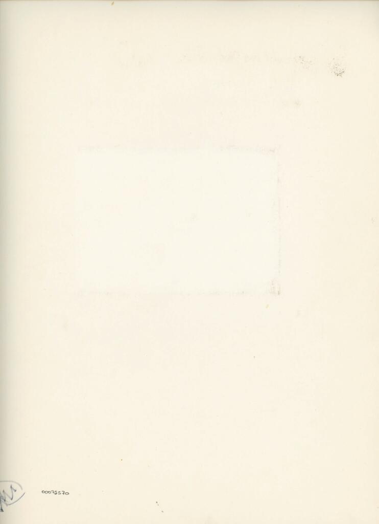 Anonimo , Anonimo - sec. XII - manoscritto, un foglio miniato , retro