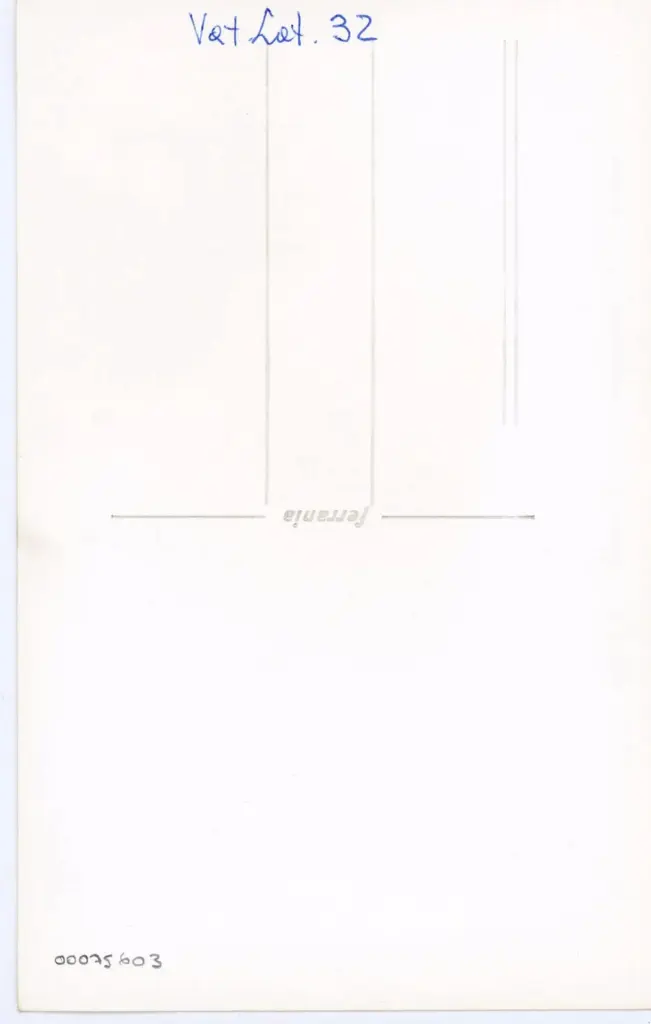 Anonimo , Vat. Lat. 32 , retro