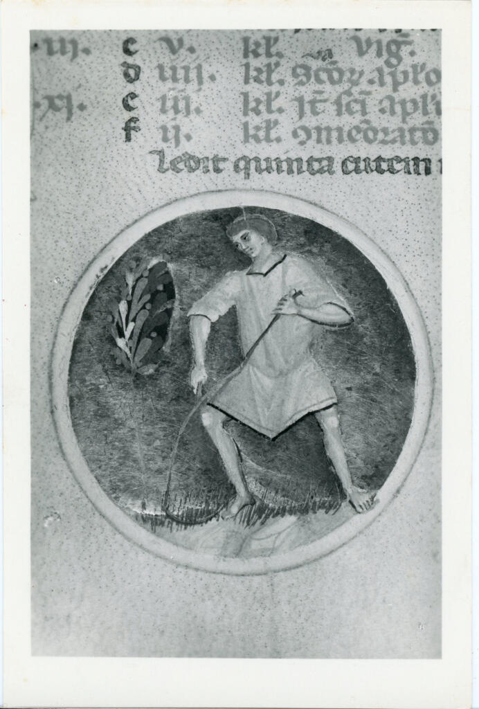 A. Villani e Figli , Anonimo sec. XIII - Particolare di un manoscritto miniato - Calendario , fronte