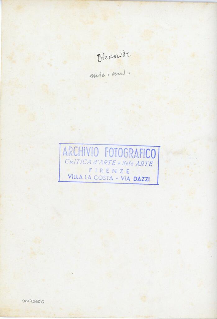 Dioscoride , retro