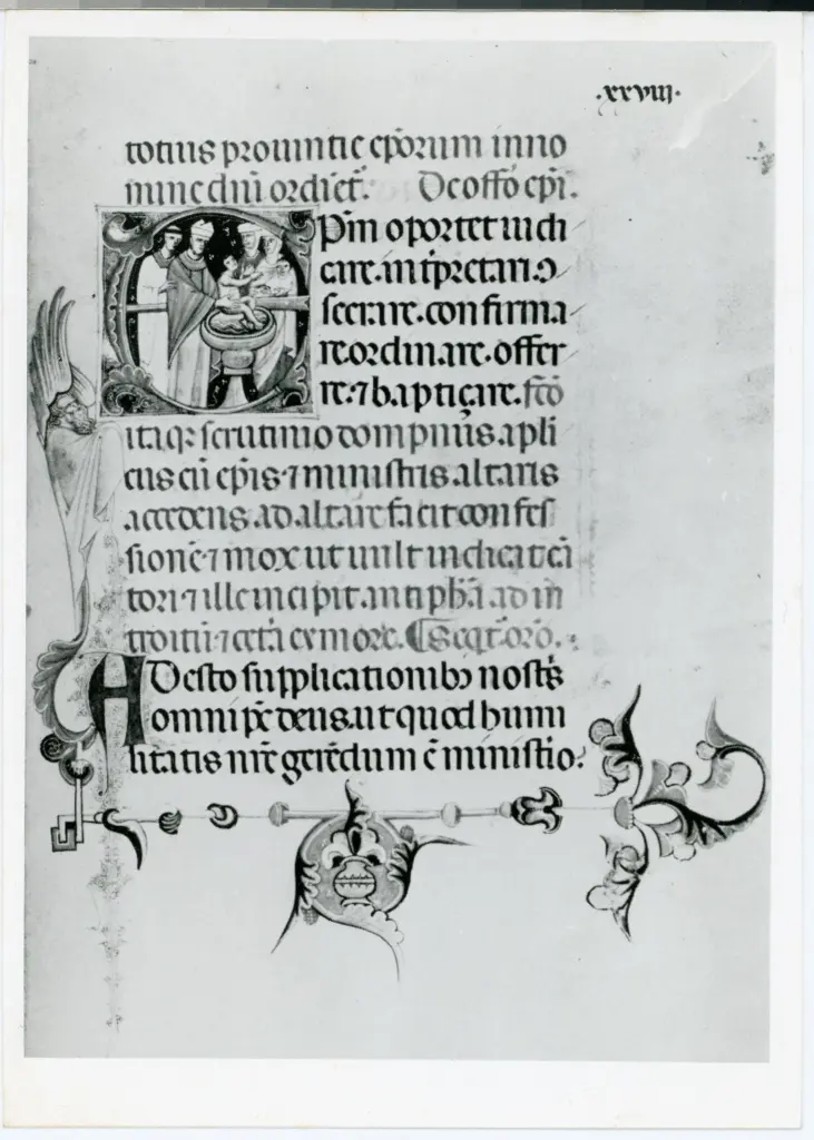 &nbsp; , Iniziale E, Iniziale istoriata, Battesimo, Motivi decorativi fitomorfi