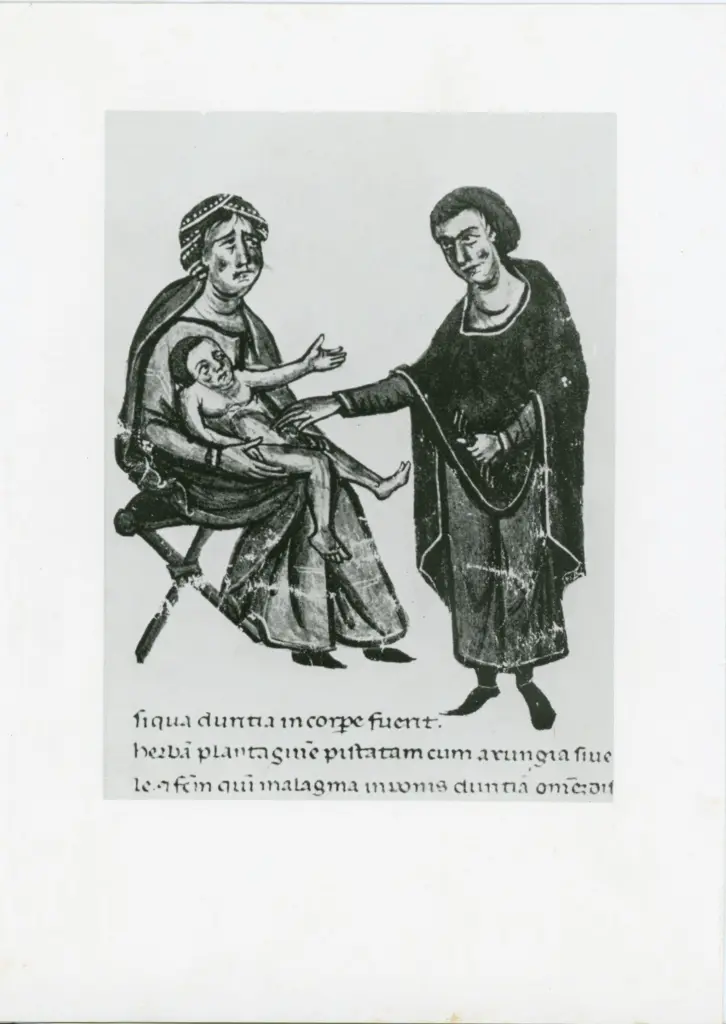 Firenze - Bibl. Laur. - pl. LXXIII, 16 - "De re medica" , fronte