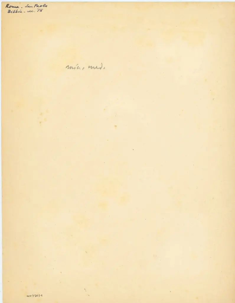 Roma - San Paolo - Bibbia - sec. IX , retro