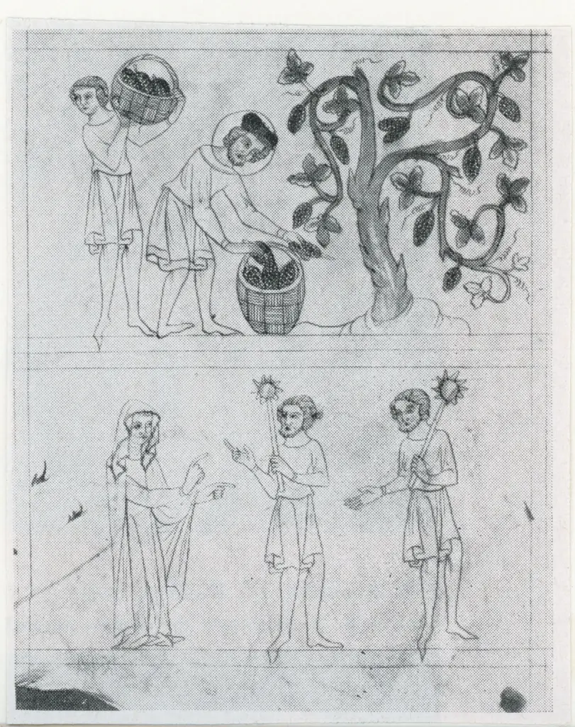 Anonimo ceco sec. XIV , Vendemmia, Figura femminile con velo, Due figure maschili