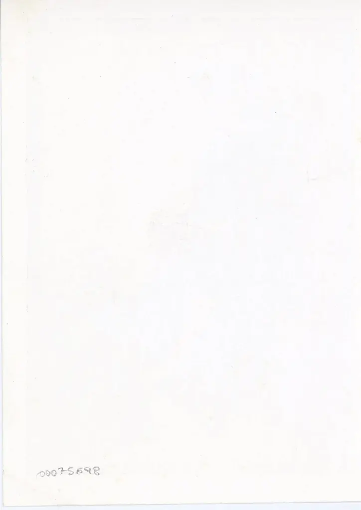 Anonimo - sec. XV - Parigi, Biblioth&egrave;que nationale de France, ms. Latin 6041 D, f. 8ter-v , retro