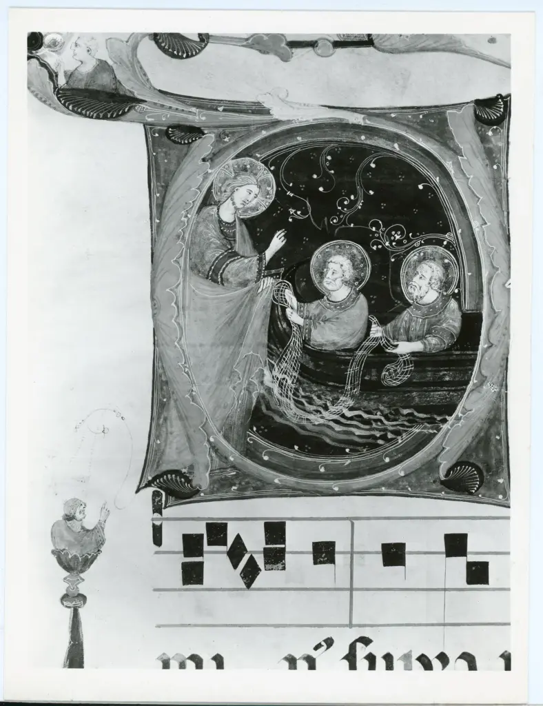 A. Villani e Figli , Neri da Rimini - BO - Museo Civico , fronte