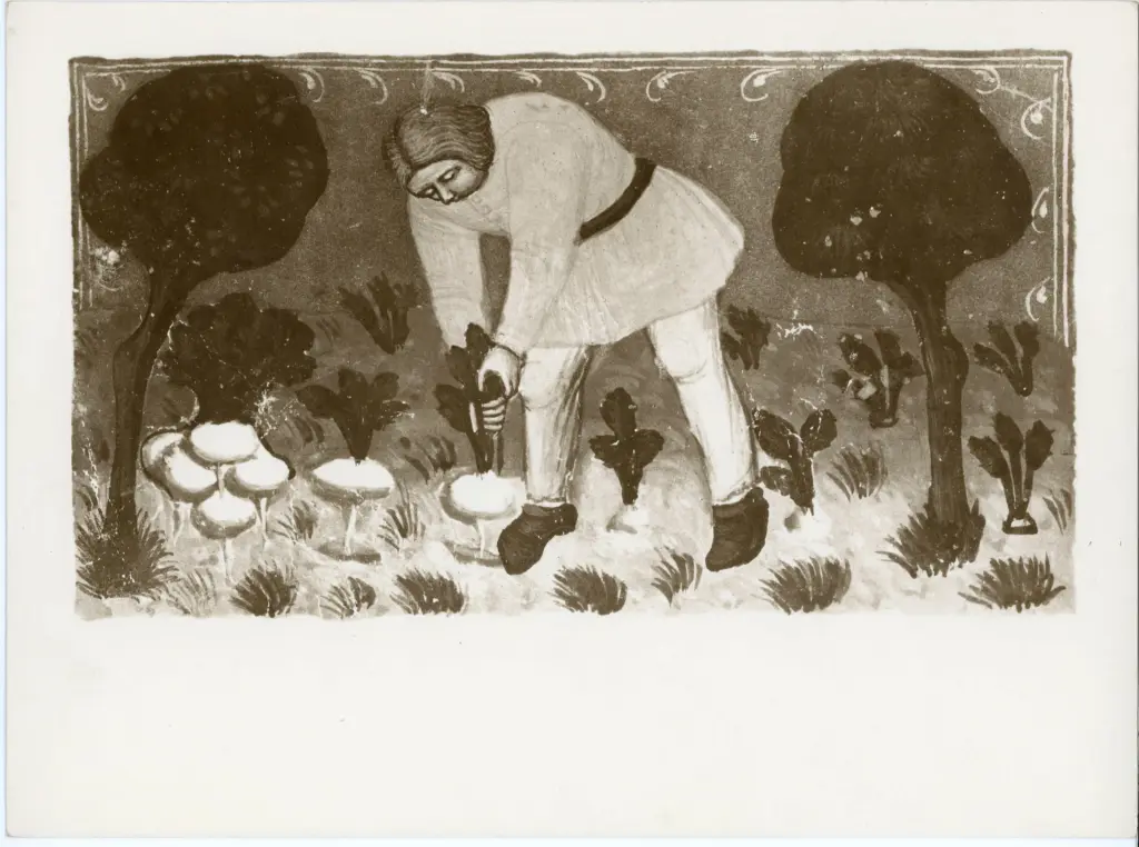 A. Villani e Figli , Barisini Tommaso - (?) - sec. XIV - Mese di Ottobre , fronte