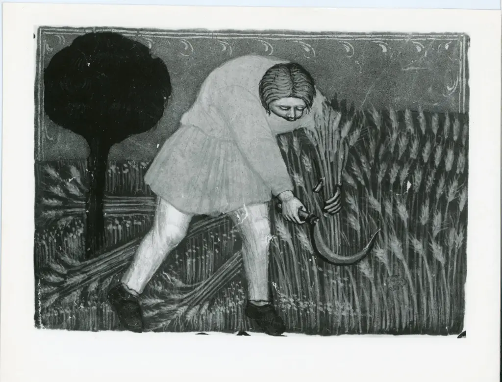 A. Villani e Figli , Barisini Tommaso - (?) - sec. XIV - Mese di Giugno , fronte