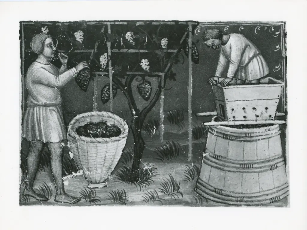 A. Villani e Figli , Barisini Tommaso - (?) - sec. XIV - Mese di Settembre , fronte