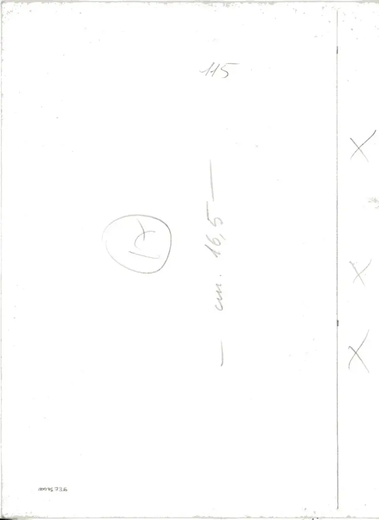 Universit&agrave; di Pisa. Dipartimento di Storia delle Arti , Traini Francesco - ambito - sec. XIV - Museo nazionale di San Matteo, deposito, Pergamena della Pia Casa della Misericordia, particolare , retro