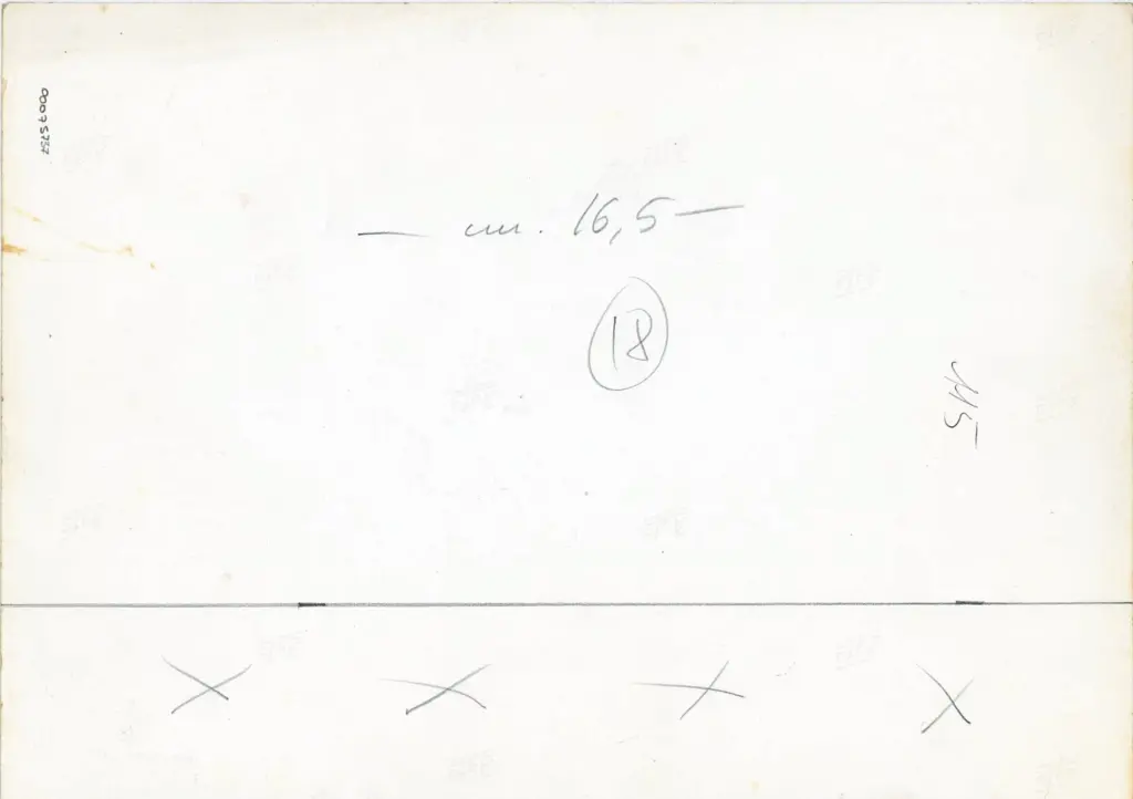 Universit&agrave; di Pisa. Dipartimento di Storia delle Arti , Traini Francesco - ambito - sec. XIV - Museo nazionale di San Matteo, deposito, Pergamena della Pia Casa della Misericordia, particolare , retro