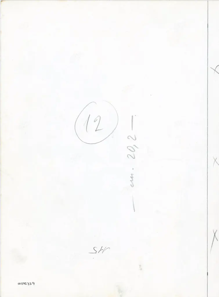 Universit&agrave; di Pisa. Dipartimento di Storia delle Arti , Traini Francesco - ambito - sec. XIV - Museo nazionale di San Matteo, deposito, Pergamena della Pia Casa della Misericordia, particolare , retro