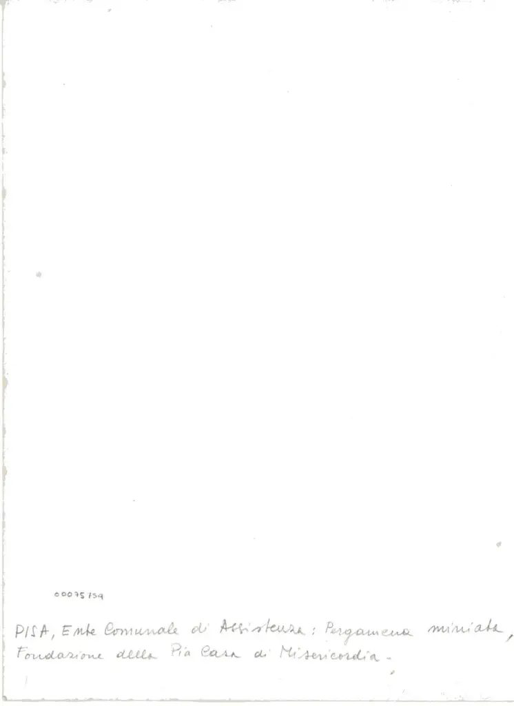 Anonimo , Pisa, Ente Comunale di Assistenza: Pergamena miniata, Fondazione della Pia Casa di Misericordia. , retro