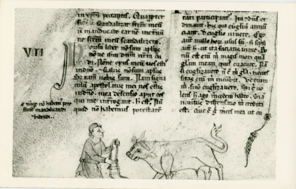 Anonimo , Vat. Lat. 32 , fronte