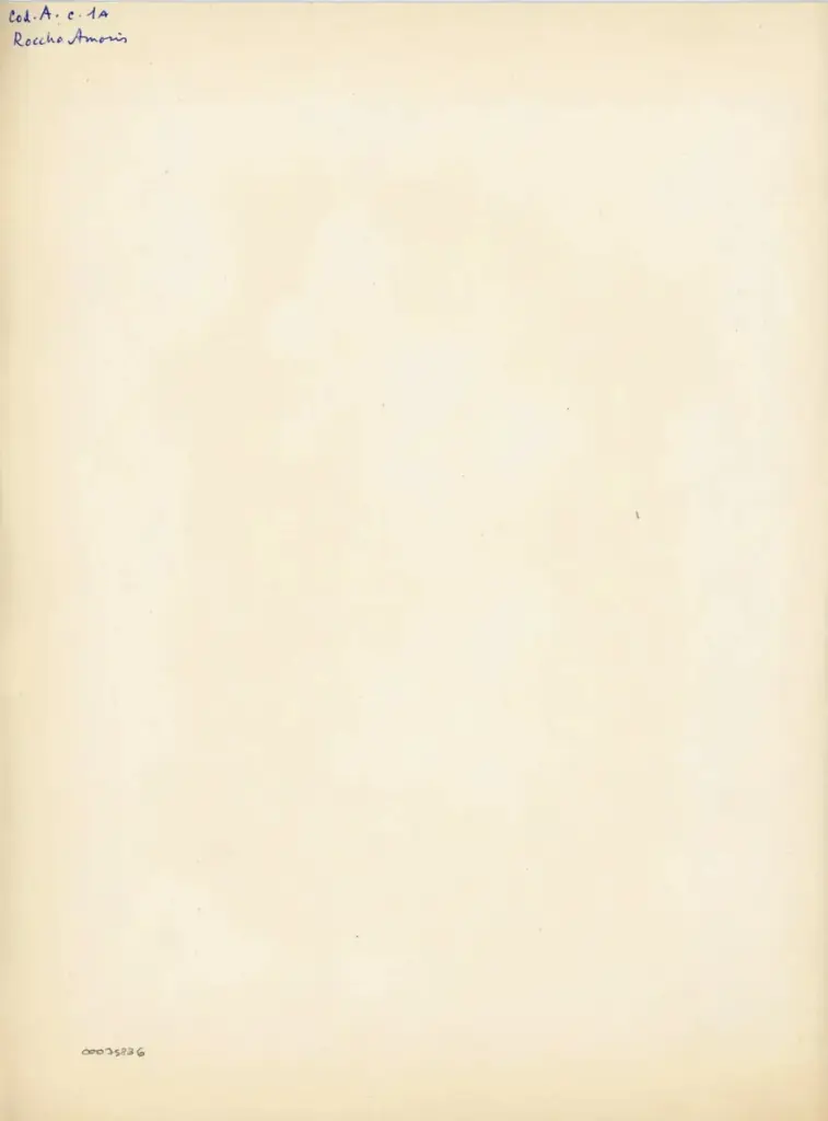 Anonimo , Cod. A. c. 1A - Roccha Amoris , retro