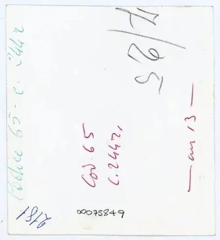 Vaghi, Bruno , Codice 65 - c. 244r , retro