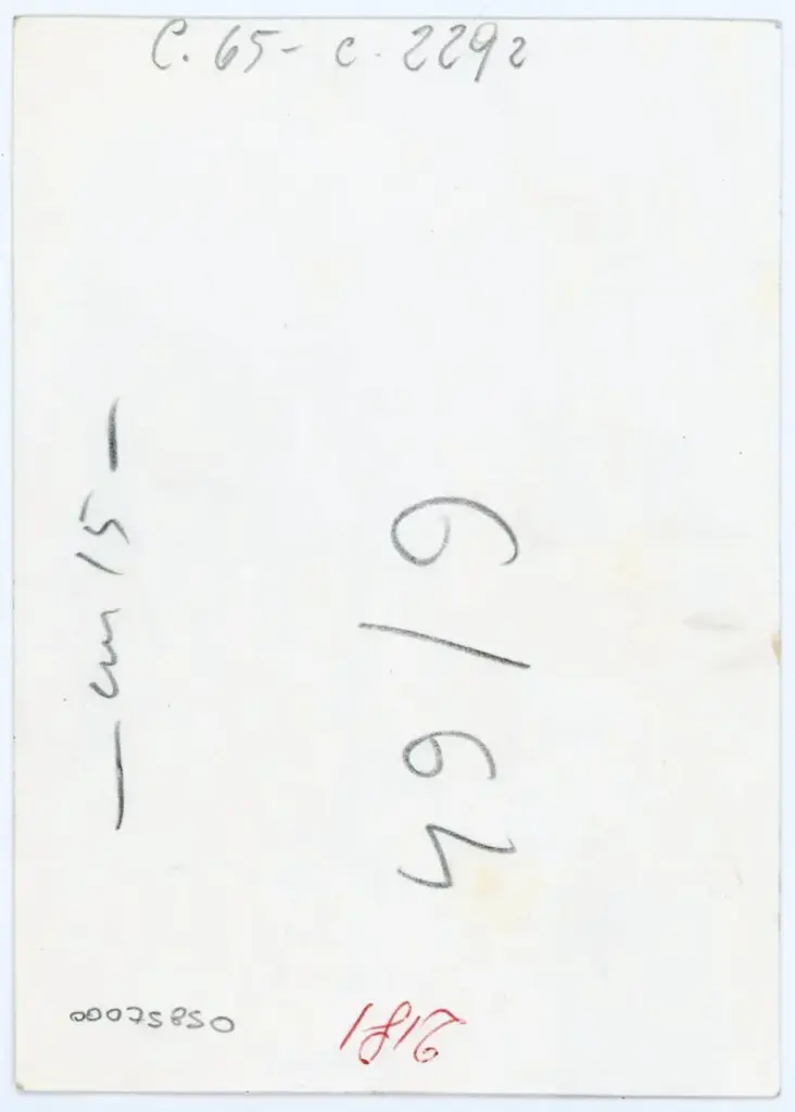 Vaghi, Bruno , C. 65 - c. 229r , retro