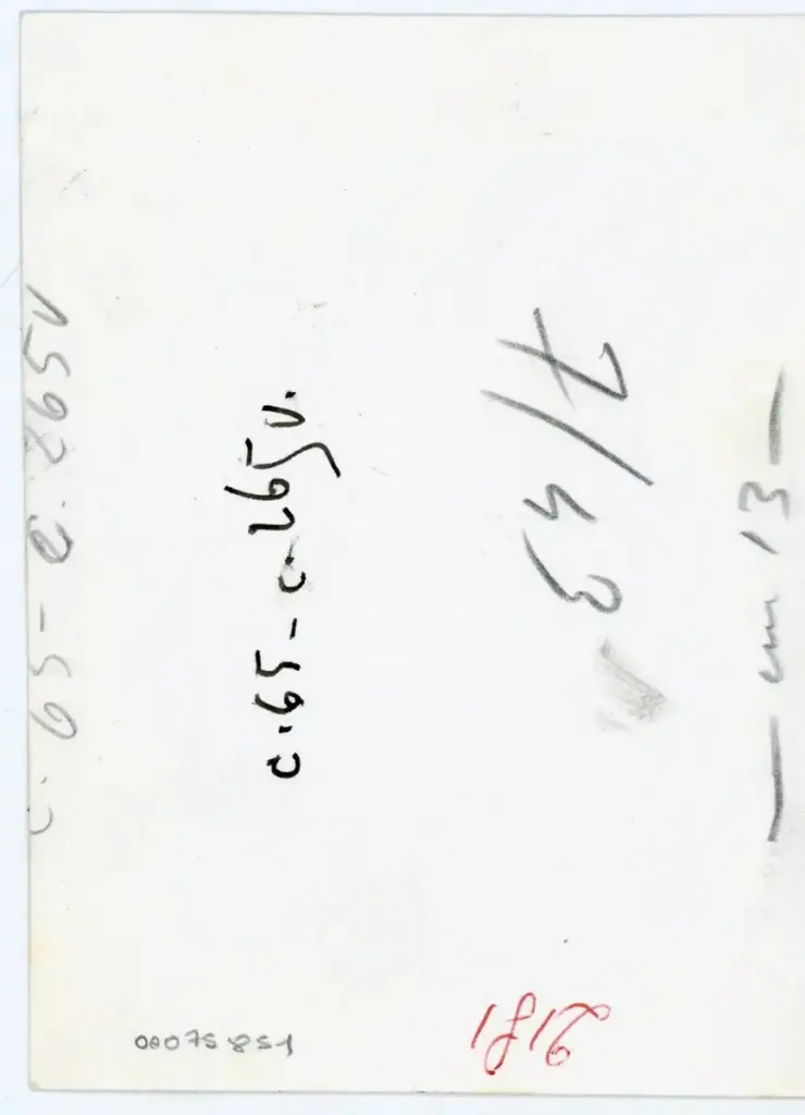 Vaghi, Bruno , C. 65 - c. 265v , retro