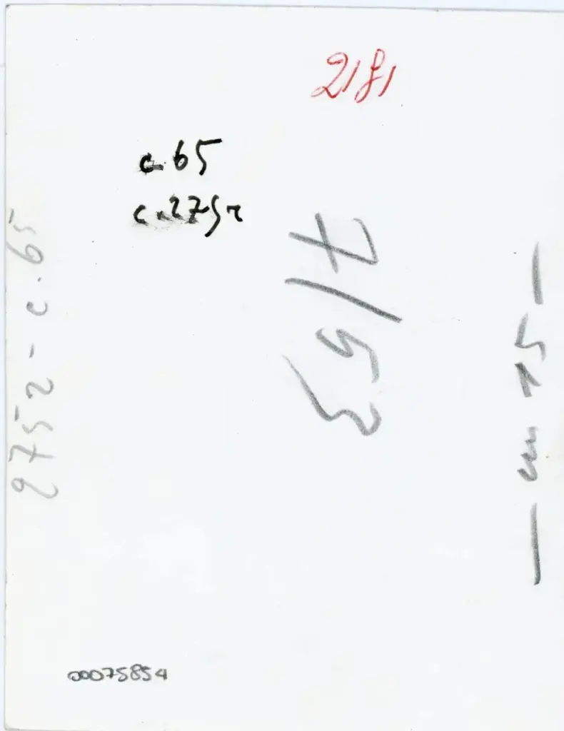 Vaghi, Bruno , C. 65 - c. 231v. , retro